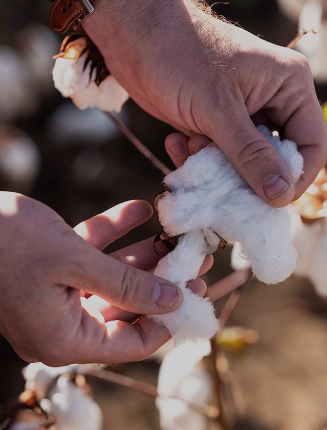 The Better Cotton Initiative