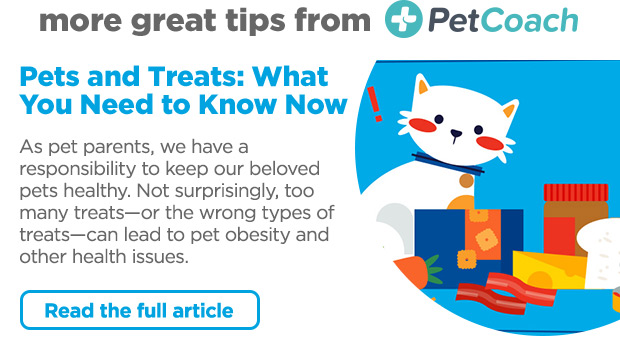 More great tips from PetCoach. Pets and Treats: What you need to know. Read article.
