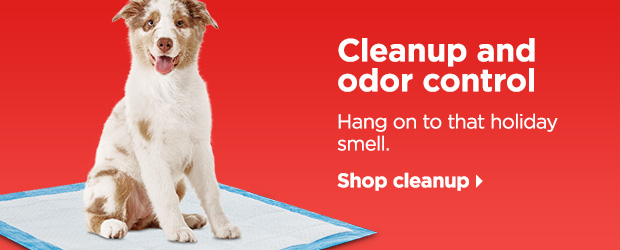 Cleanup and odor control. Hang on to that holiday smell. Shop cleanup > 