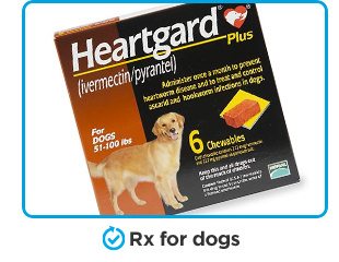 Rx for dogs.