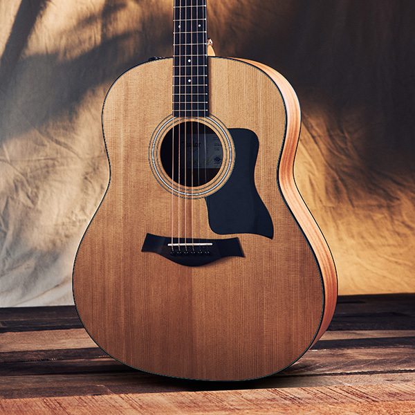 Taylor model 117e 