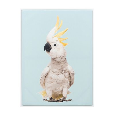 Cockatoo Wall Art