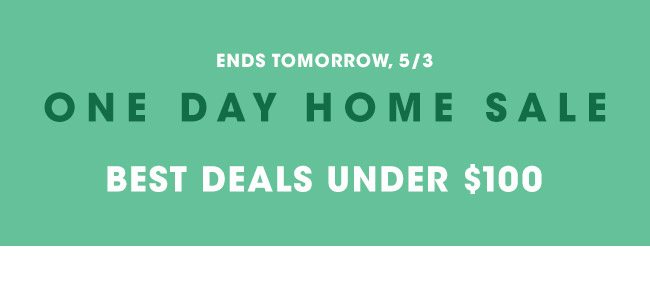 ONE DAT HOME SALE BEST DEALS UNDER $100