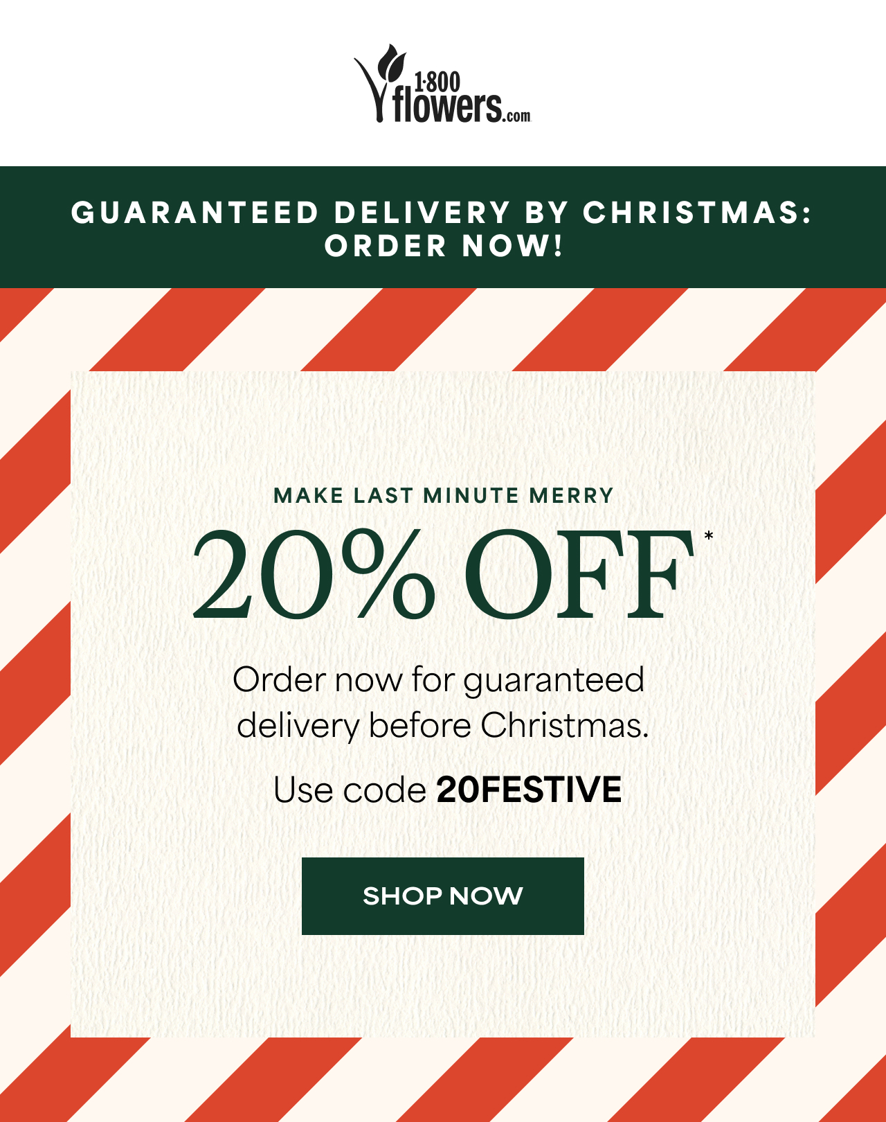 Enjoy 20% Off Last-Minute Gifts with Code 20FESTIVE | Shop Now