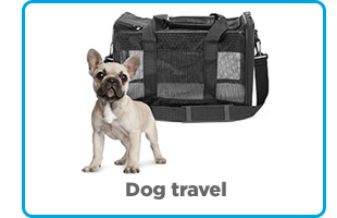 Dog travel. 