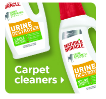 Shop carpet cleaners >