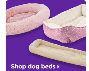 Shop dog beds >