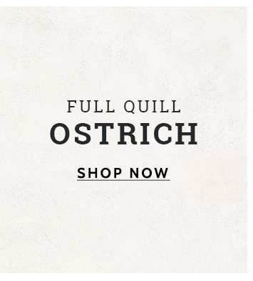 Shop Ostrich Boots »