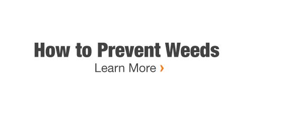 How to Prevent Weeds