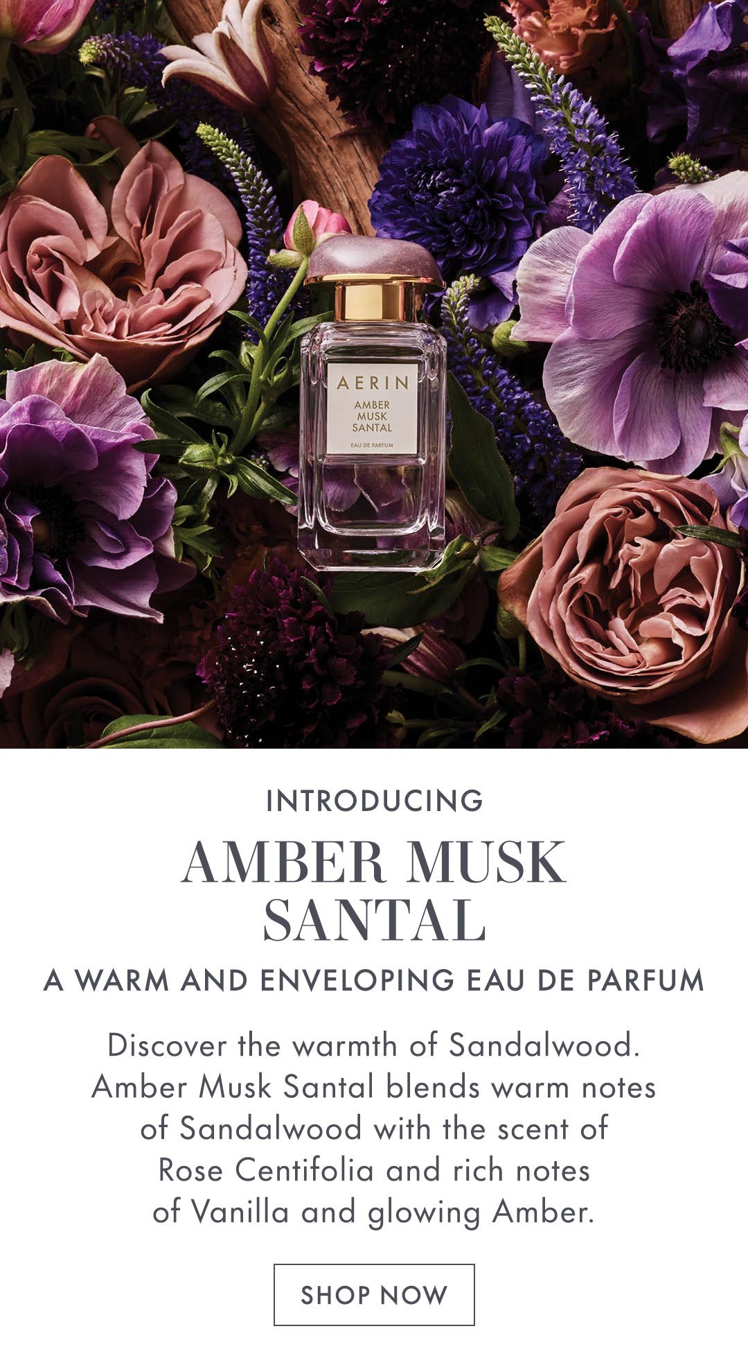 INTRODUCING | AMBER MUSK SANTAL | A WARM AND ENVELOPING EAU DE PARFUM | Discover the warmth of Sandalwood. Amber Musk Santal blends warm notes of Sandalwood with the scent of Rose Centifolia and rich notes of Vanilla and glowing Amber. SHOP NOW
