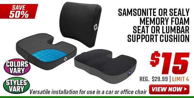 Samsonite or Sealy Memory Foam Seat or Lumbar Support Cushion