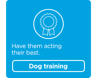 Have them acting their best. Dog training.