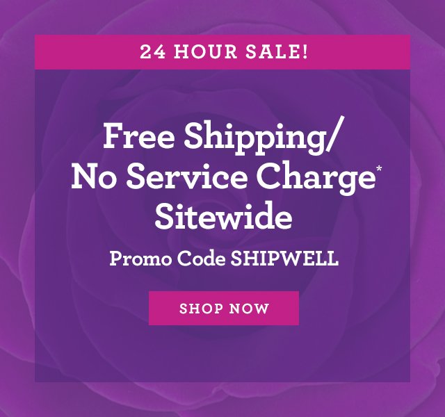 Free Shipping for one full year! Just $19.99 LEARN MORE 