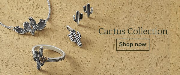Cactus Collection - Shop now