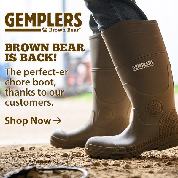 Brown Bear Boots are back! Shop now