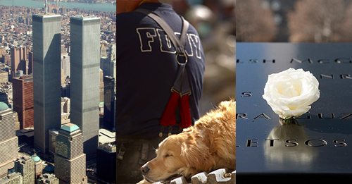 These Dogs Played A Key Role In The Rescue Efforts In The Days Following 9/11