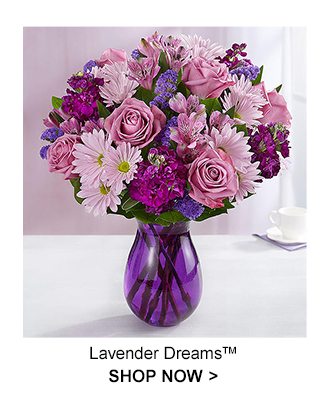 Lavender Dreams