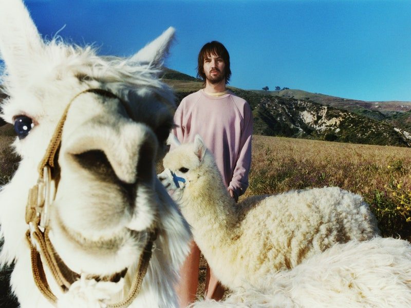 Image may contain: Kevin Parker, Face, Head, Person, Photography, Portrait, Adult, Animal, Livestock, Mammal, and Sheep