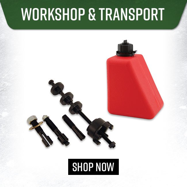 Workshop