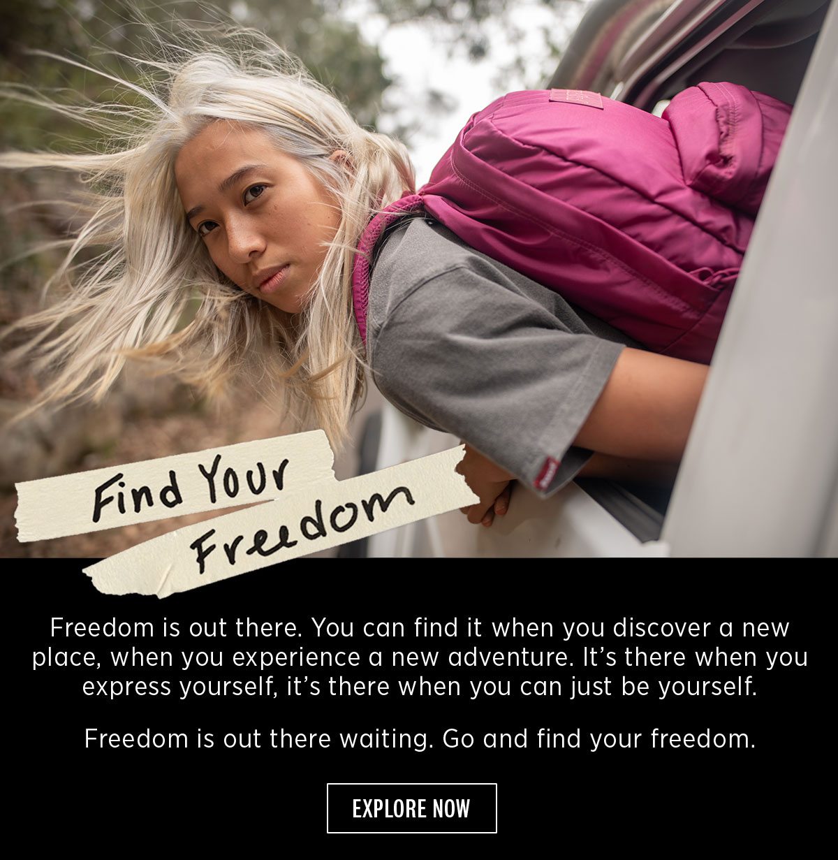 jansport freedom