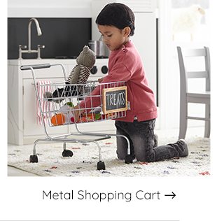 METAL SHOPPING CART