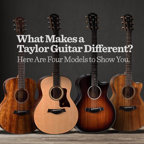 What makes a Taylor guitar different?