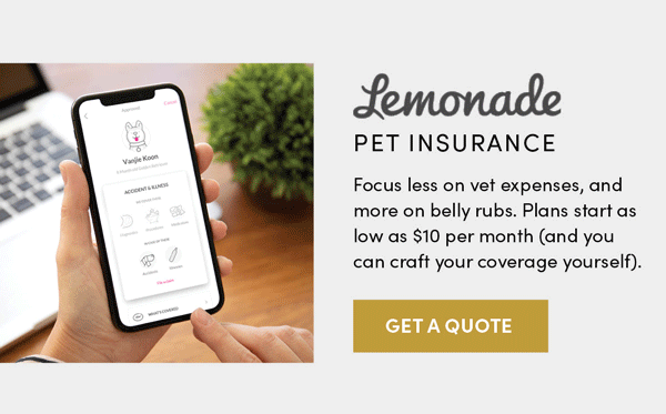 Lemonade Pet Insurance | Get A Quote