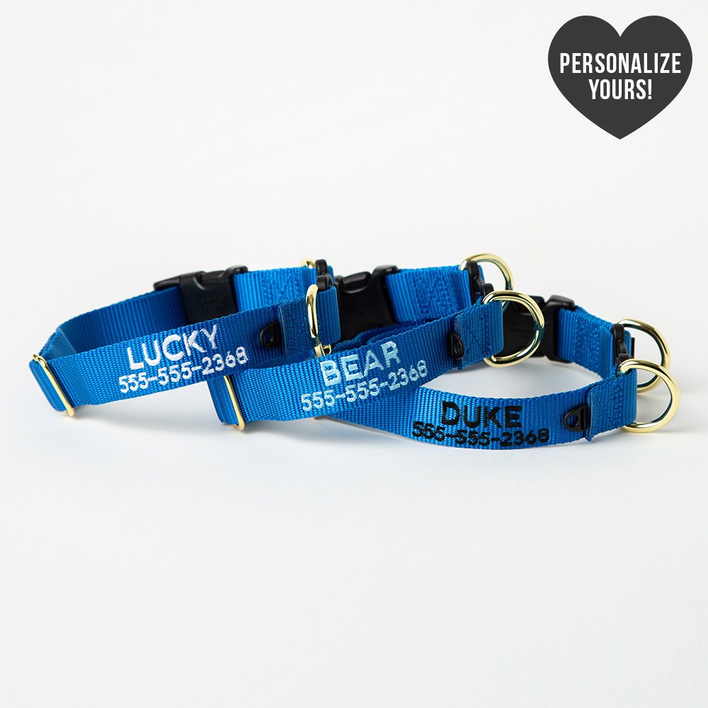 Safe Dog Emergency Break-Away Customizable Collar – Royal, Bold