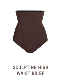 Sculpting High Waist Brief
