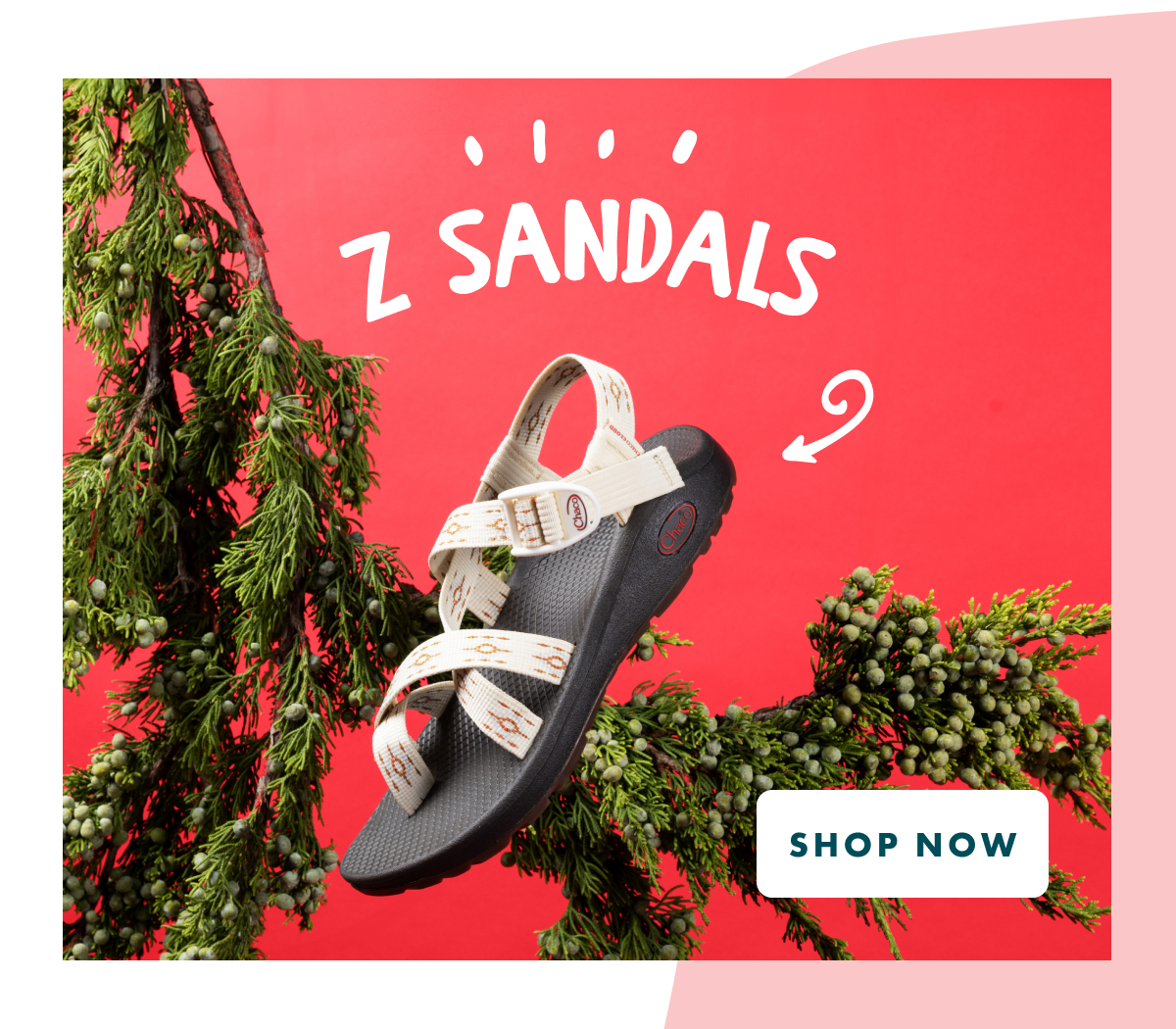 Z/SANDALS - SHOP NOW