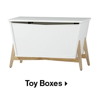 Shop Toy Boxes