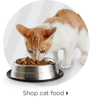 Shop cat food > 