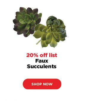 Faux Succulents - 20% off list