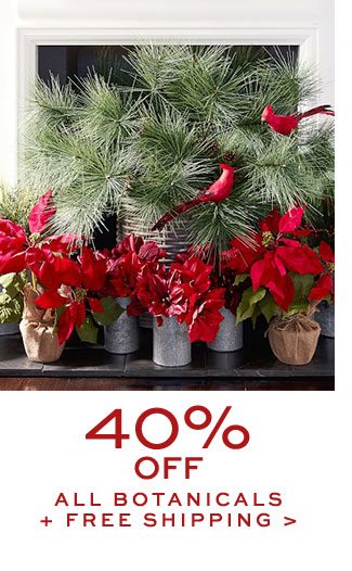 40% Off All Botanicals + Free Shipping