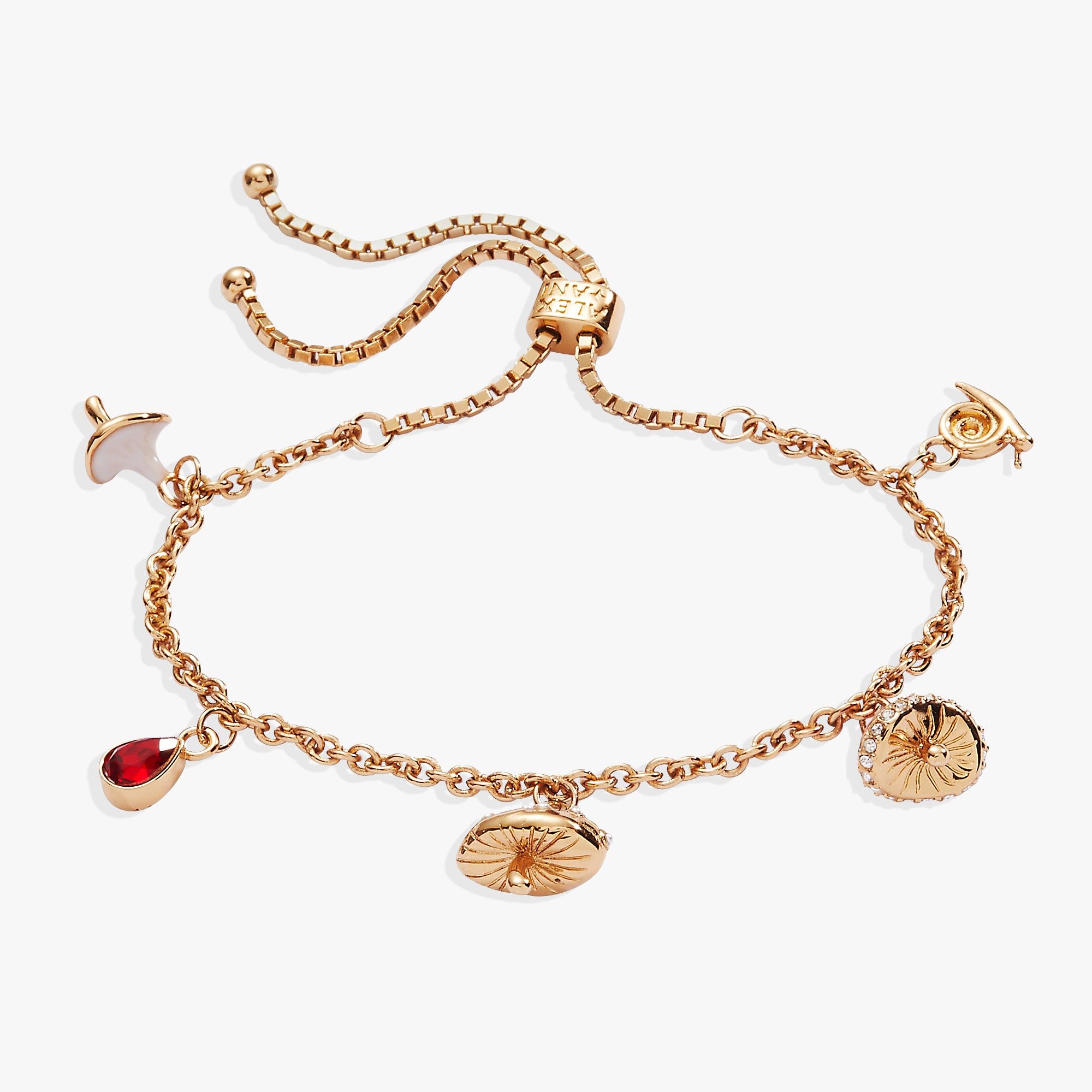 Image of Mushroom Bolo Charm Bracelet