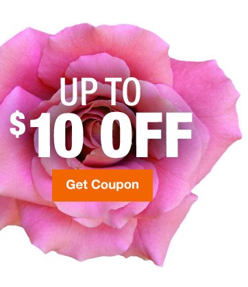 $5 off $50, $10 off $100