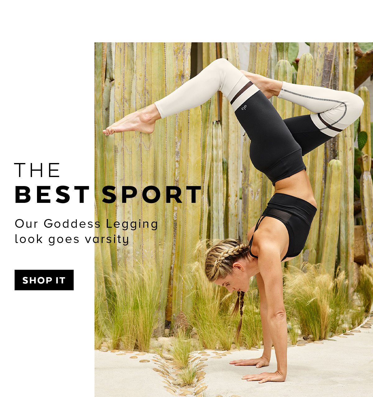 The Hottest Statement Leggings For Spring 🔥 - Alo Yoga Email Archive