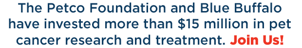 The Petco Foundation and Blue Buffalo have invested more than $15 million in pet cancer research and treatment. Join Us!