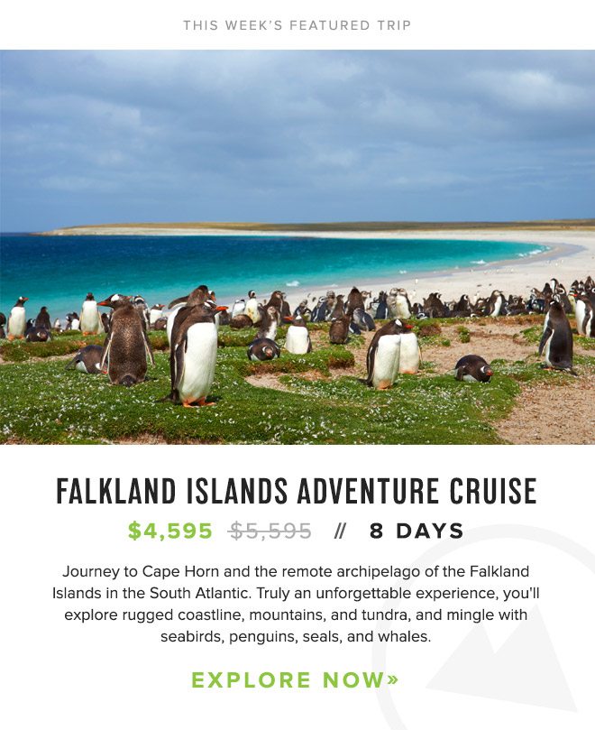 Falkland Islands Adventure Cruise