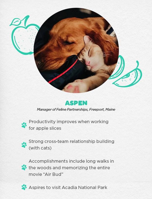 Aspen - Manager of Feline Partnerships