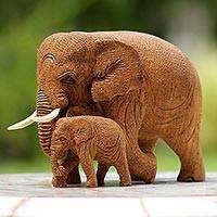 Baby and Mom Elephant