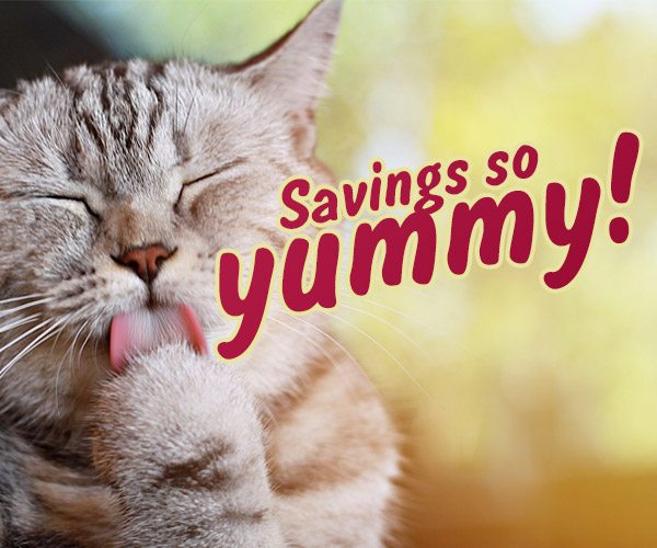 Savings so yummy! 20% Off + Free Shipping over $49*