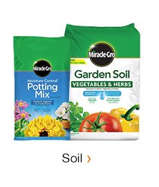 SOIL