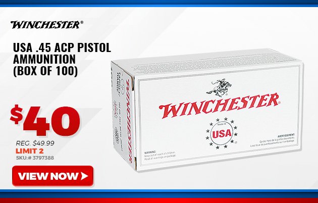 Winchester USA .45 ACP Pistol Ammunition (Box of 100)