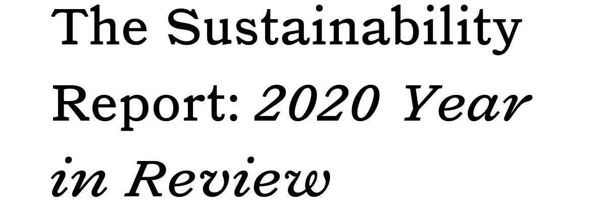 The Sustainability Report