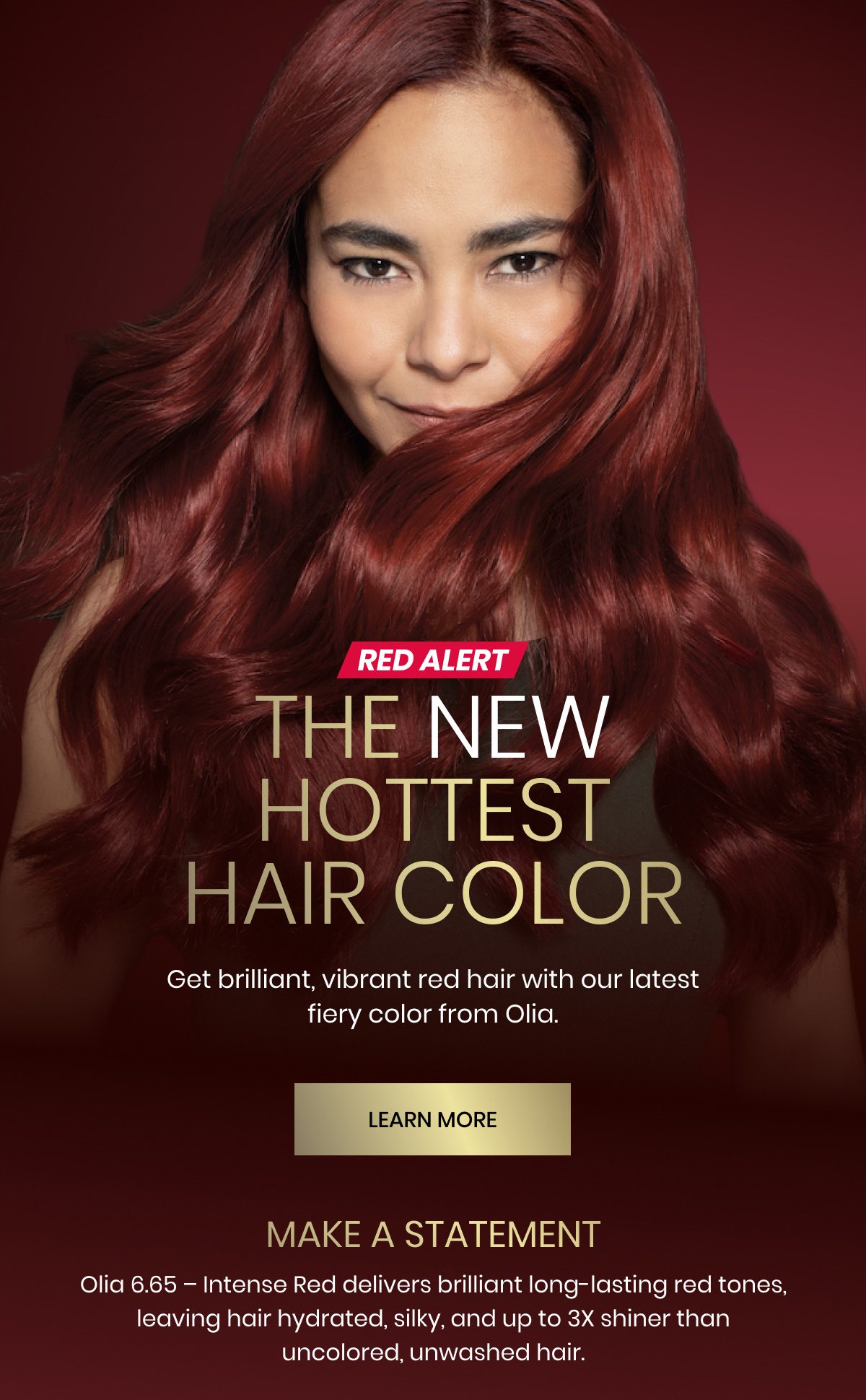 NEW! Garnier Olia 6.65 - Intense Red