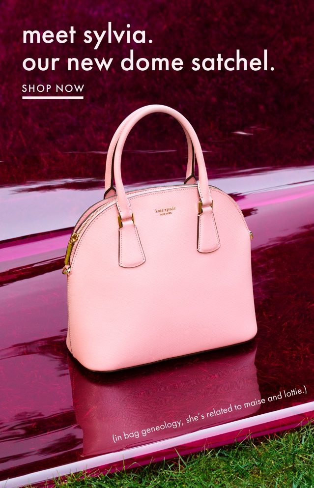 sylvia dome satchel