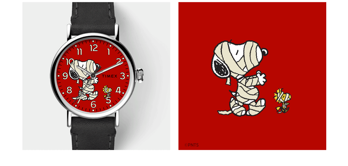 timex snoopy halloween