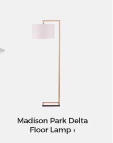 Madison Park Delta Floor Lamp