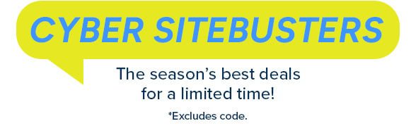 Cyber Sitebusters